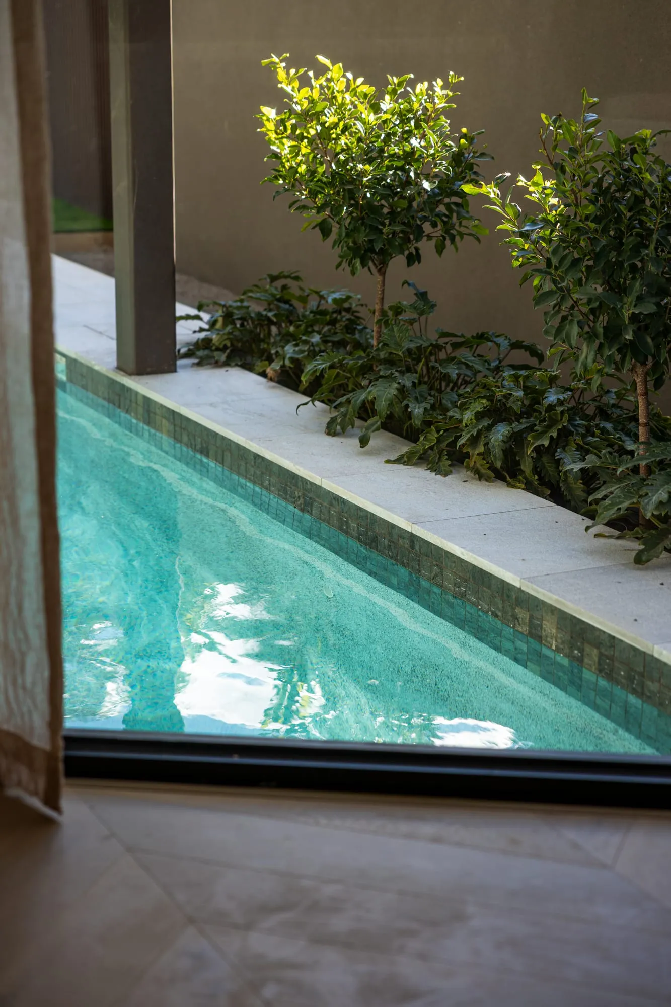 Landscaped lap pool with greenery running alongside the home